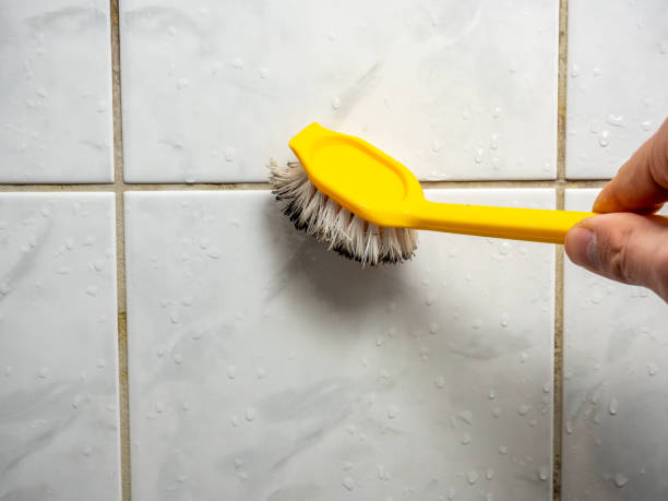 Best Black Mold Removal  in Arroyo Grande, CA