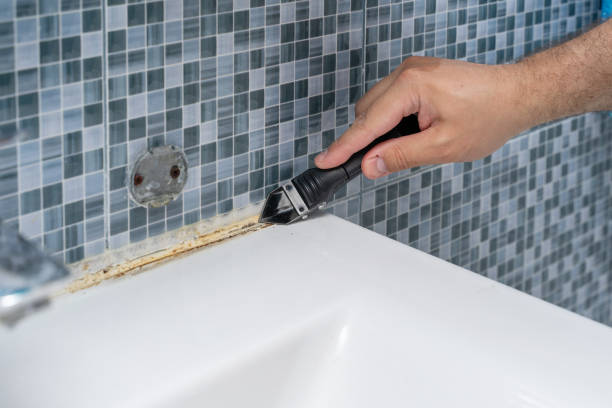 Reliable Arroyo Grande, CA Mold Removal Solutions